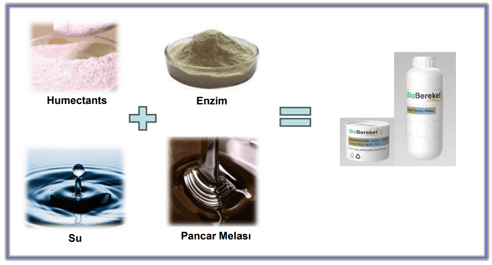 BİOBEREKET Proje Fotoğrafı 4